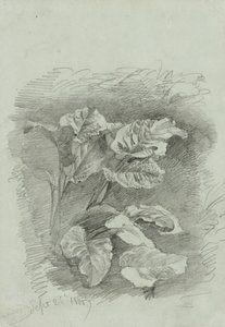 Studio di una pianta, 1867 da William Trost Richards